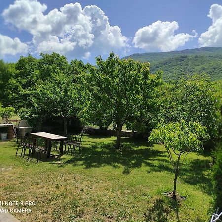 Aleks Villa โอครีด ภายนอก รูปภาพ